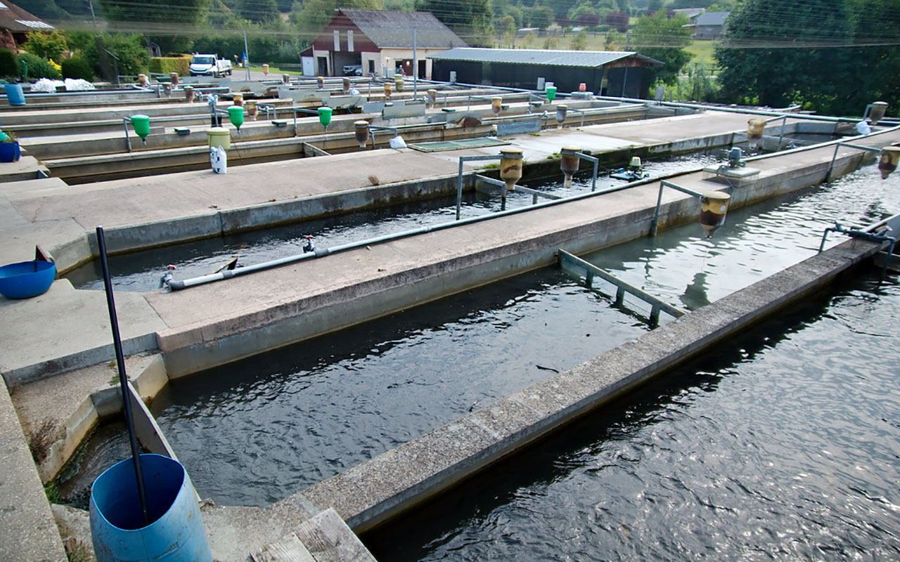 séminaire de formation des acteurs de la filière piscicole